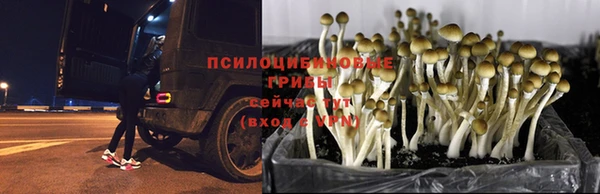 не бодяженный Зеленодольск