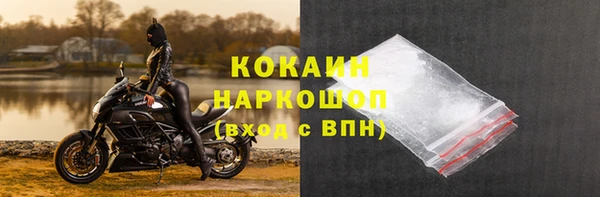 спиды Зеленокумск