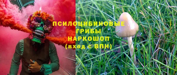 спиды Зеленокумск